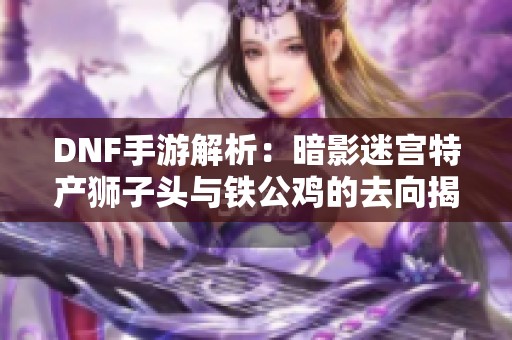 DNF手游解析：暗影迷宫特产狮子头与铁公鸡的去向揭秘