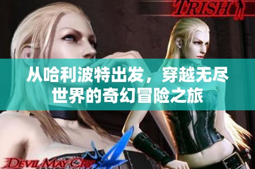 从哈利波特出发，穿越无尽世界的奇幻冒险之旅