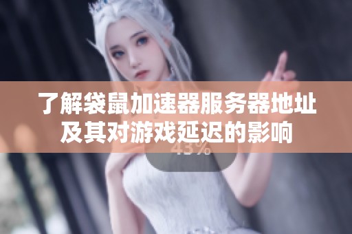 了解袋鼠加速器服务器地址及其对游戏延迟的影响