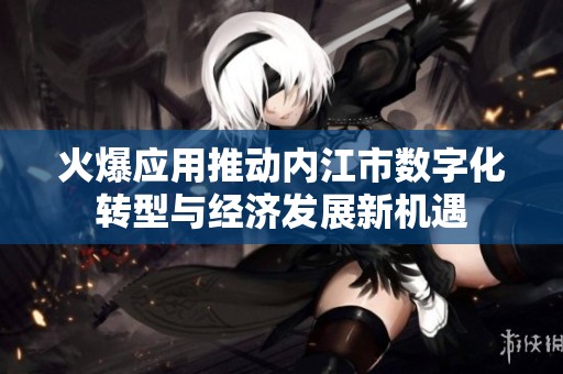 火爆应用推动内江市数字化转型与经济发展新机遇