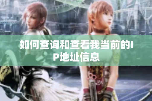 如何查询和查看我当前的IP地址信息