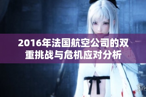 2016年法国航空公司的双重挑战与危机应对分析