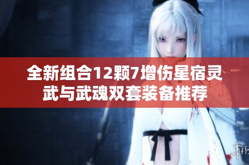 全新组合12颗7增伤星宿灵武与武魂双套装备推荐