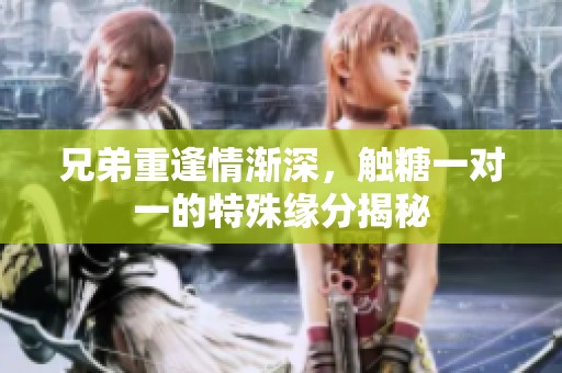 兄弟重逢情渐深，触糖一对一的特殊缘分揭秘