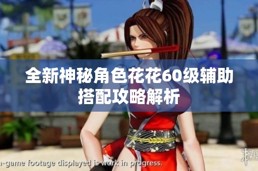 全新神秘角色花花60级辅助搭配攻略解析