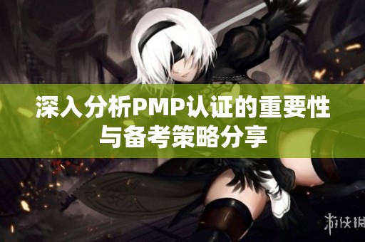 深入分析PMP认证的重要性与备考策略分享
