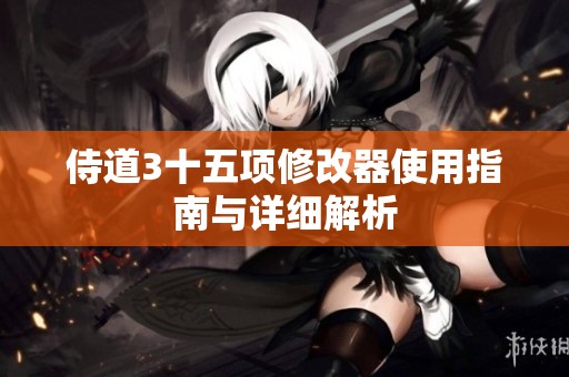 侍道3十五项修改器使用指南与详细解析