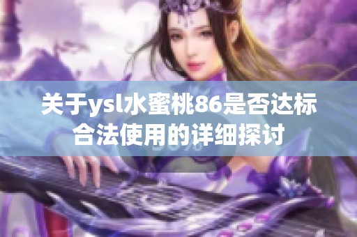 关于ysl水蜜桃86是否达标合法使用的详细探讨