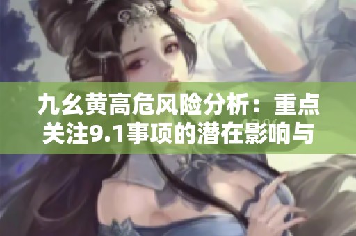 九幺黄高危风险分析：重点关注9.1事项的潜在影响与挑战