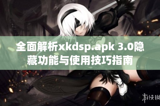 全面解析xkdsp.apk 3.0隐藏功能与使用技巧指南