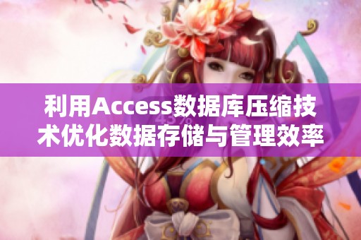 利用Access数据库压缩技术优化数据存储与管理效率
