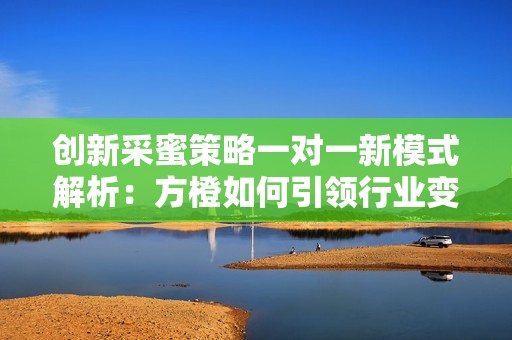 创新采蜜策略一对一新模式解析：方橙如何引领行业变革
