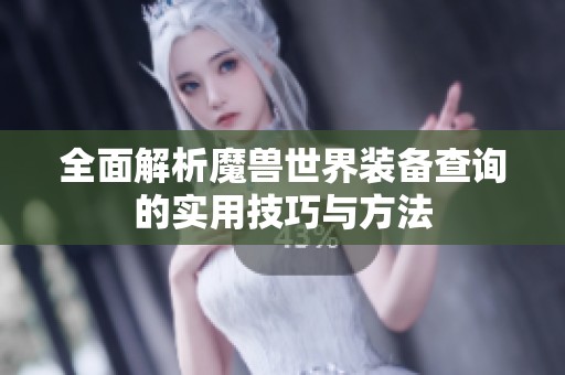 全面解析魔兽世界装备查询的实用技巧与方法