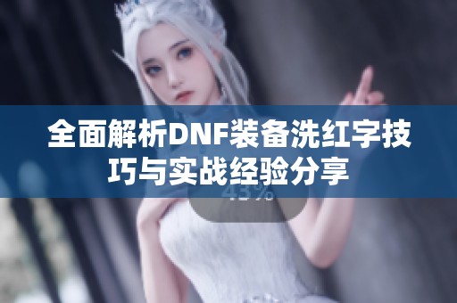 全面解析DNF装备洗红字技巧与实战经验分享