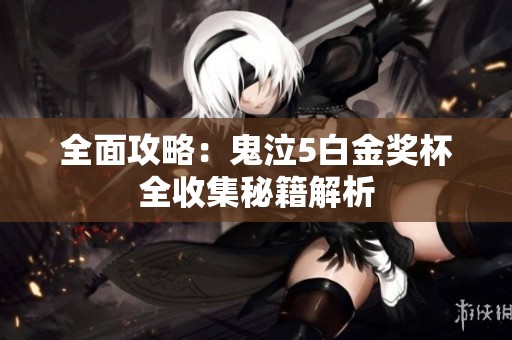 全面攻略：鬼泣5白金奖杯全收集秘籍解析