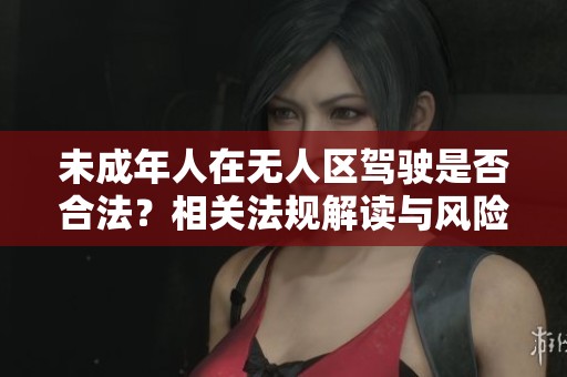 未成年人在无人区驾驶是否合法？相关法规解读与风险分析