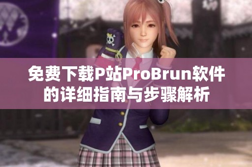 免费下载P站ProBrun软件的详细指南与步骤解析