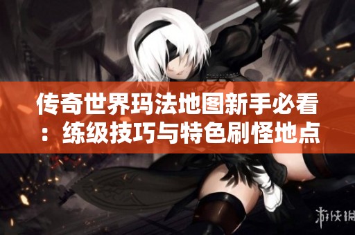 传奇世界玛法地图新手必看：练级技巧与特色刷怪地点全攻略