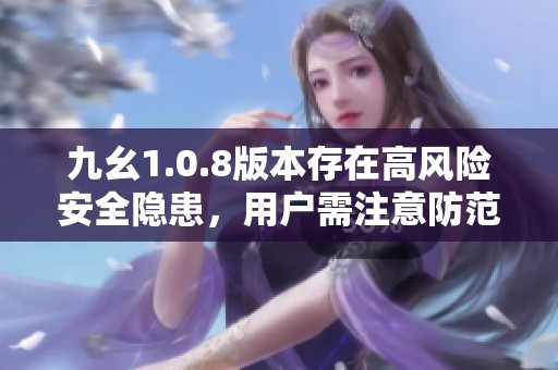 九幺1.0.8版本存在高风险安全隐患，用户需注意防范措施