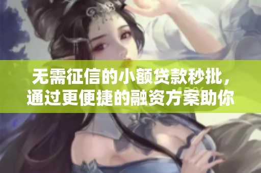 无需征信的小额贷款秒批，通过更便捷的融资方案助你实现梦想