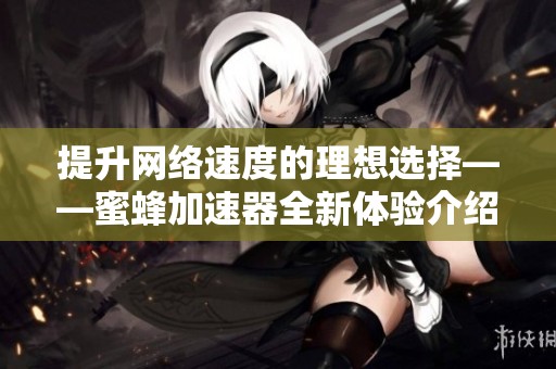 提升网络速度的理想选择——蜜蜂加速器全新体验介绍