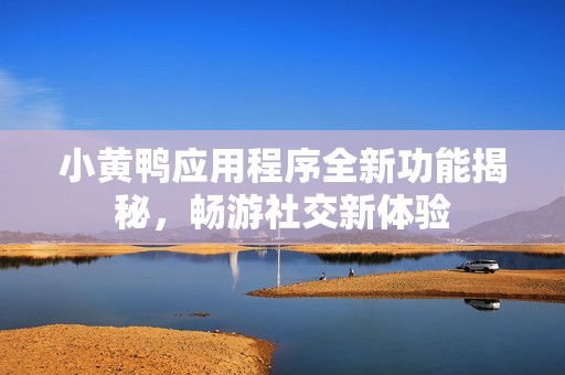 小黄鸭应用程序全新功能揭秘，畅游社交新体验