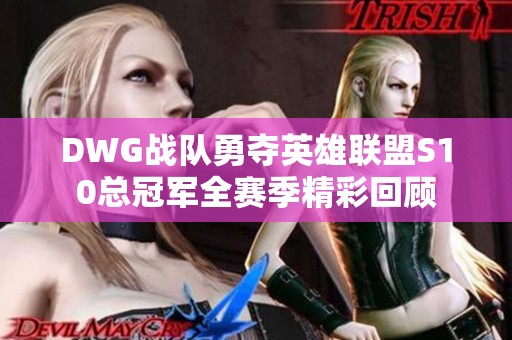 DWG战队勇夺英雄联盟S10总冠军全赛季精彩回顾