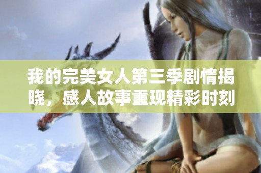 我的完美女人第三季剧情揭晓，感人故事重现精彩时刻