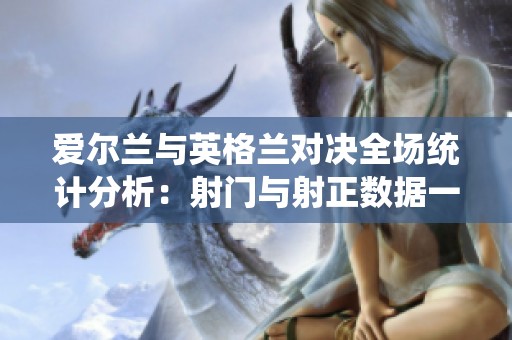 爱尔兰与英格兰对决全场统计分析：射门与射正数据一览