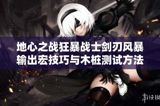 地心之战狂暴战士剑刃风暴输出宏技巧与木桩测试方法