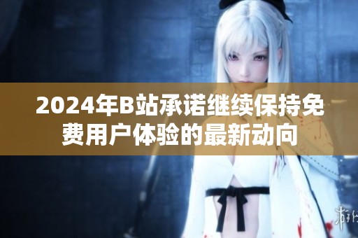 2024年B站承诺继续保持免费用户体验的最新动向