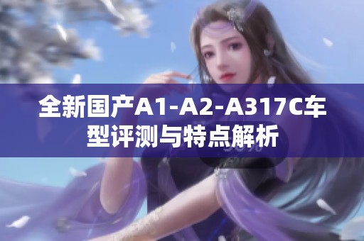 全新国产A1-A2-A317C车型评测与特点解析