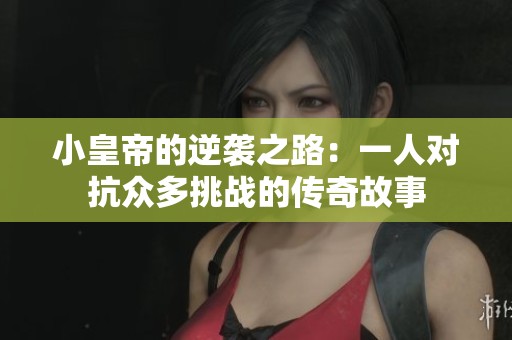 小皇帝的逆袭之路：一人对抗众多挑战的传奇故事