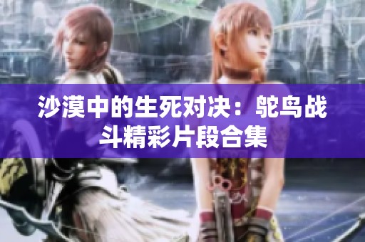 沙漠中的生死对决：鸵鸟战斗精彩片段合集