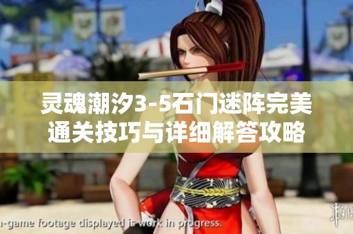 灵魂潮汐3-5石门迷阵完美通关技巧与详细解答攻略