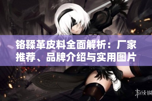 铬鞣革皮料全面解析：厂家推荐、品牌介绍与实用图片分享
