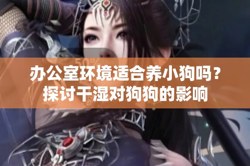 办公室环境适合养小狗吗？探讨干湿对狗狗的影响