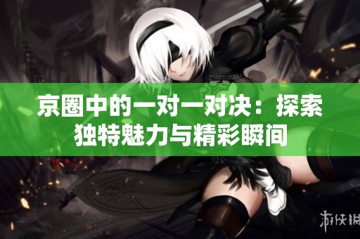 京圈中的一对一对决：探索独特魅力与精彩瞬间