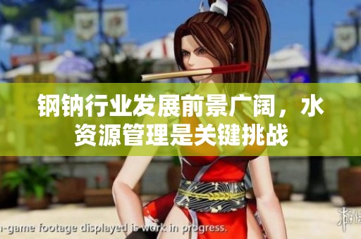 钢钠行业发展前景广阔，水资源管理是关键挑战