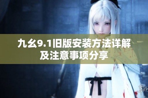 九幺9.1旧版安装方法详解及注意事项分享