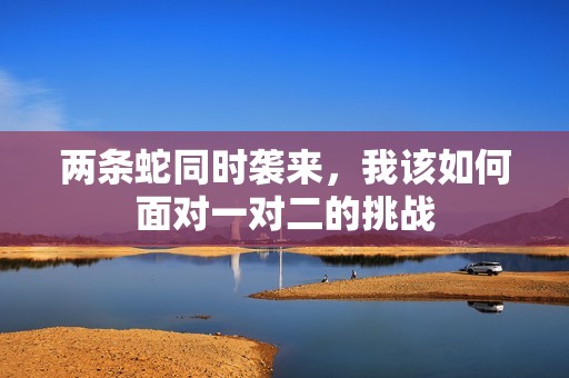 两条蛇同时袭来，我该如何面对一对二的挑战