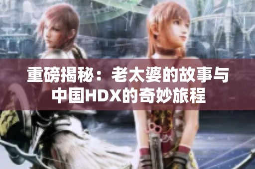 重磅揭秘：老太婆的故事与中国HDX的奇妙旅程