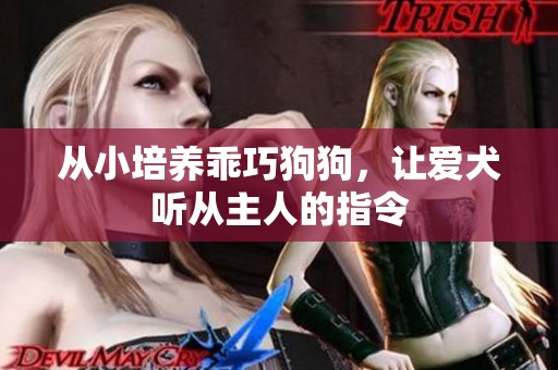 从小培养乖巧狗狗，让爱犬听从主人的指令