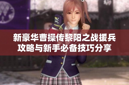 新豪华曹操传黎阳之战援兵攻略与新手必备技巧分享