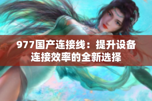 977国产连接线：提升设备连接效率的全新选择