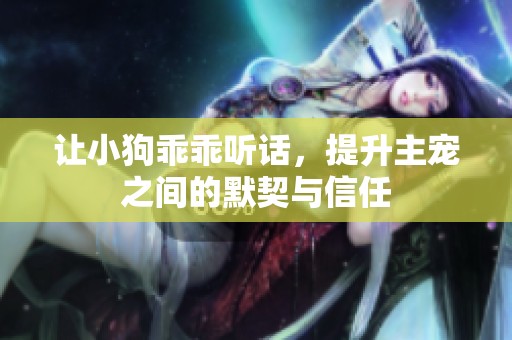让小狗乖乖听话，提升主宠之间的默契与信任