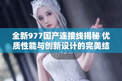 全新977国产连接线揭秘 优质性能与创新设计的完美结合