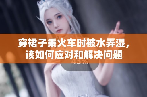 穿裙子乘火车时被水弄湿，该如何应对和解决问题