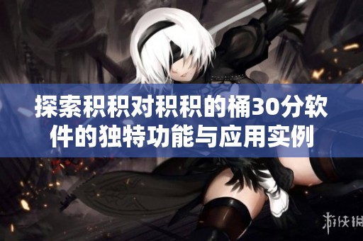 探索积积对积积的桶30分软件的独特功能与应用实例