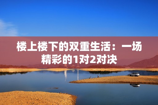 楼上楼下的双重生活：一场精彩的1对2对决